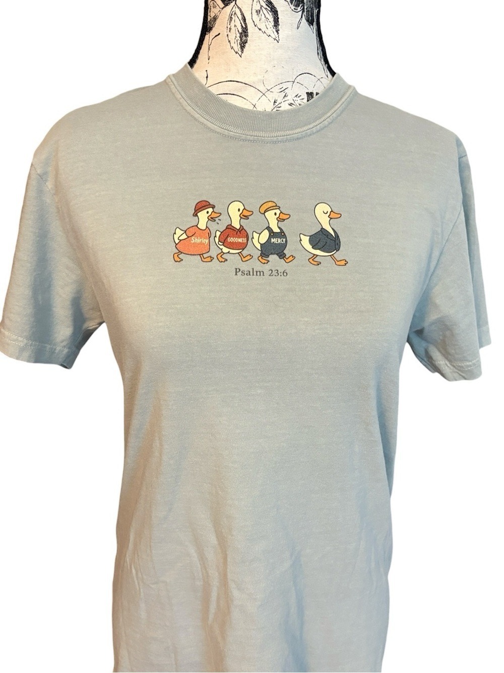 Faithwise & Co Goose Graphic Tee Psalm 23:6 Sage Green Size S New